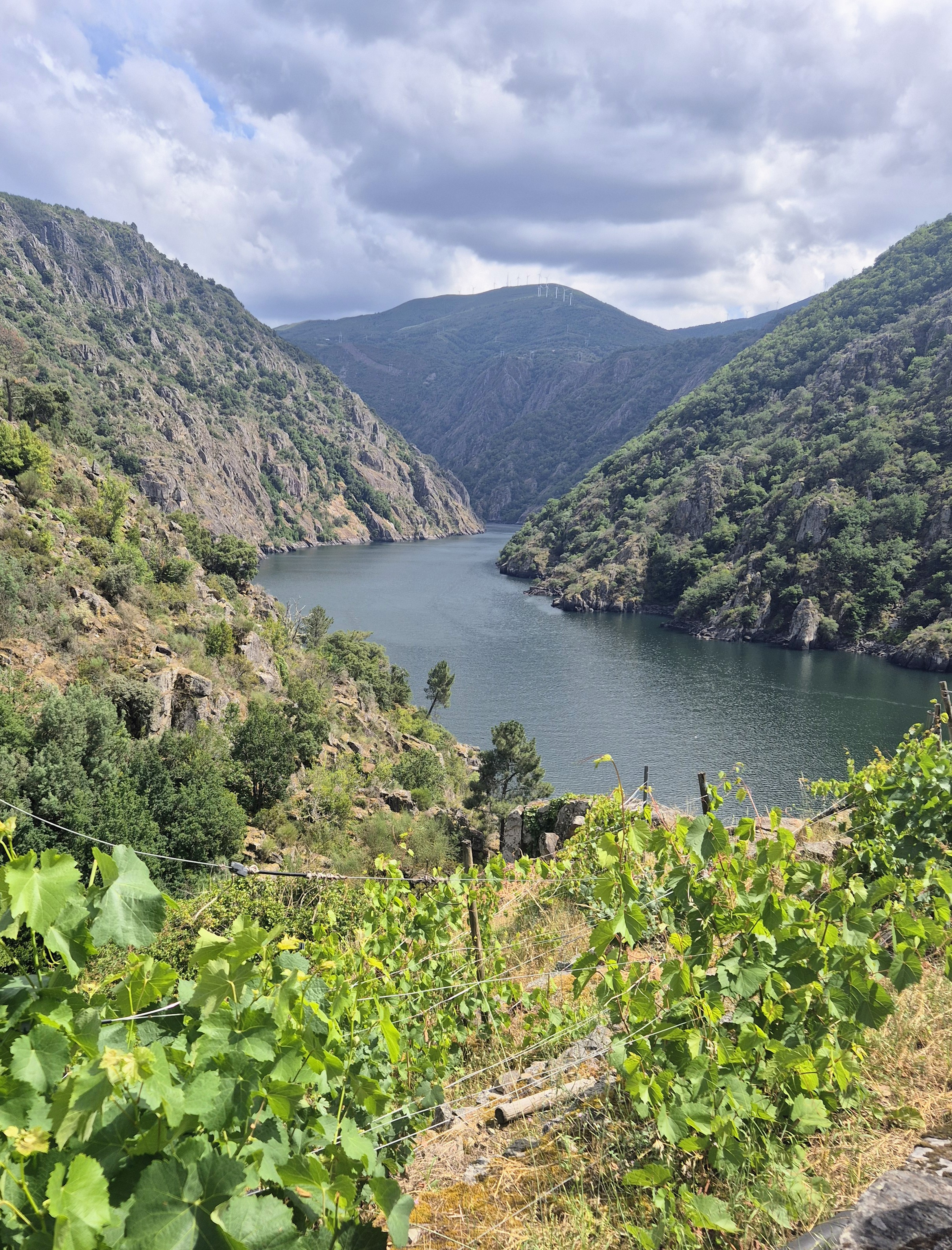 Ribeira Sacra landscape and vineyards in Galicia